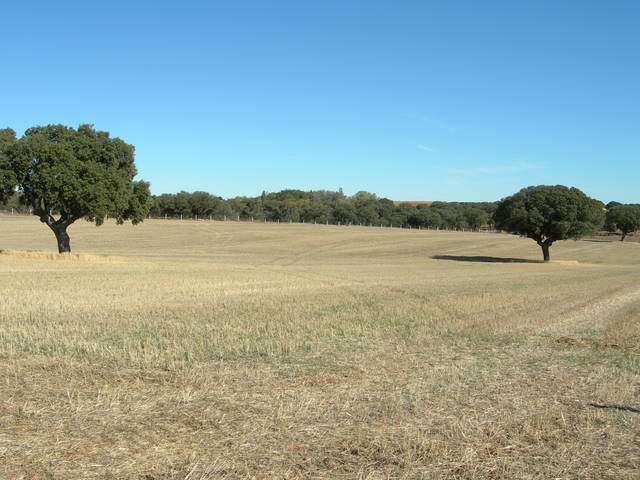 VALORACION DE FINCAS RUSTICAS